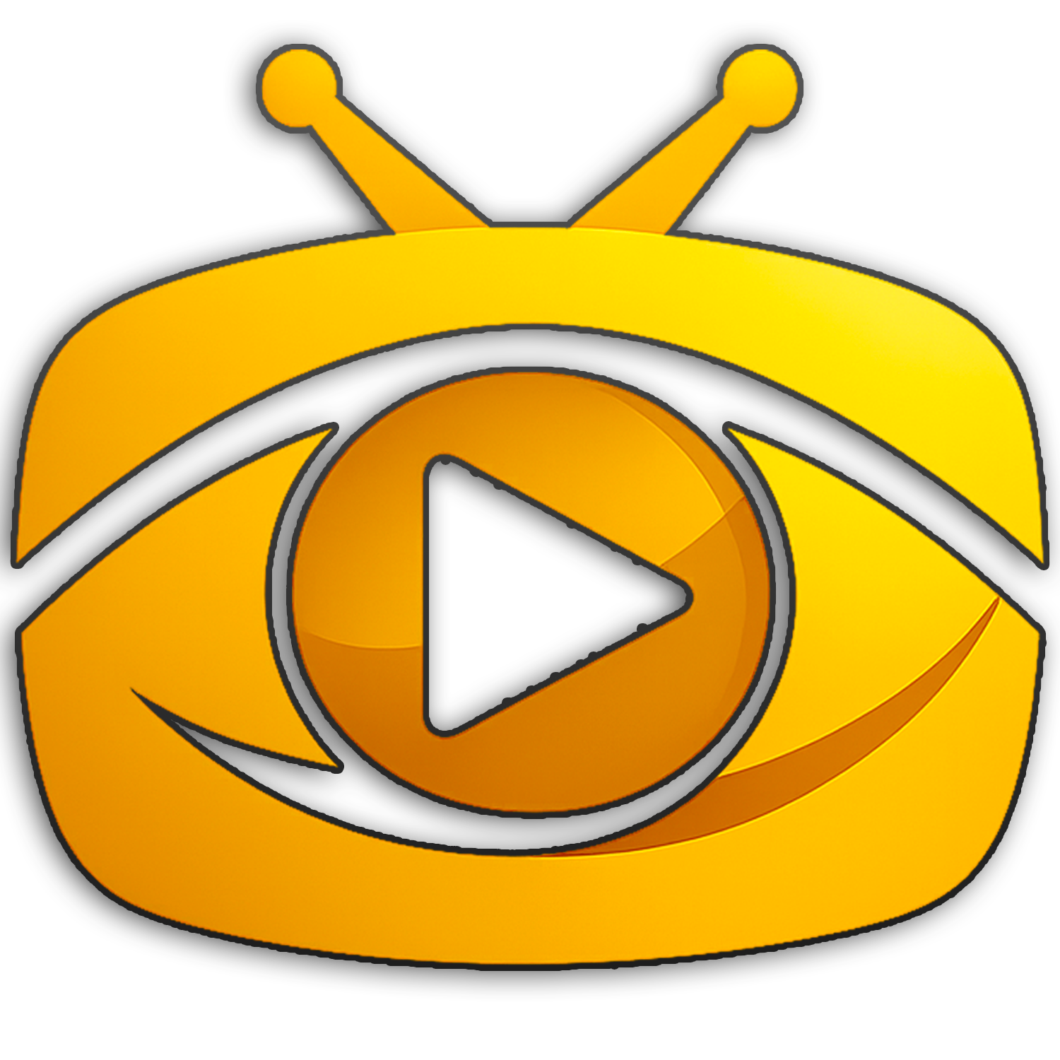 The Live Vision